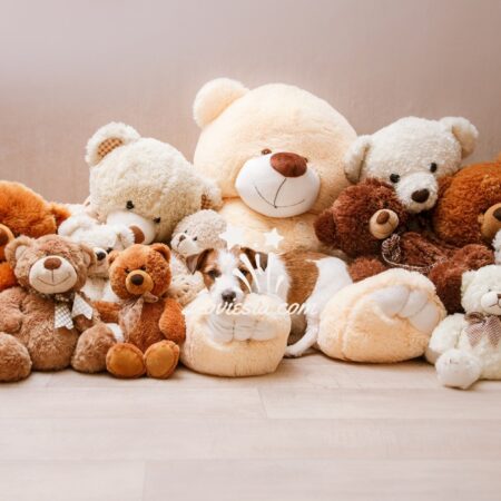 Cute Teddy Delivery Surprise