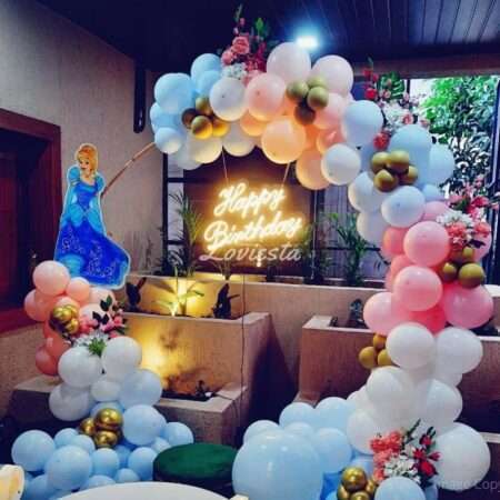 Disney's Cinderella Birthday Theme Decoration